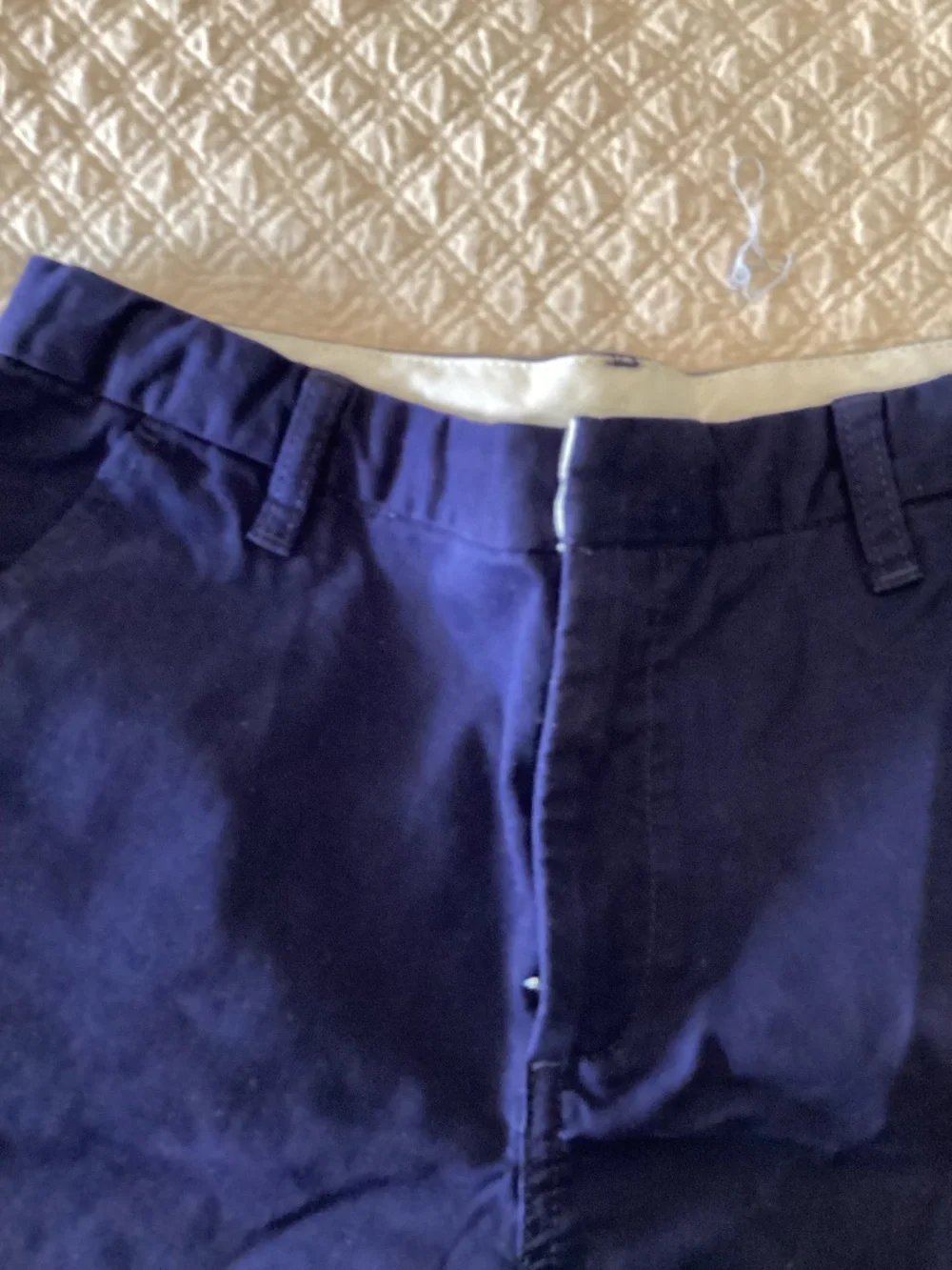 Gap boys nwt size 18 blue cotton chino style shorts